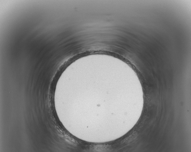 X0000068310832200604281733