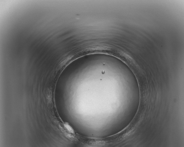 X0000068310833200604281733