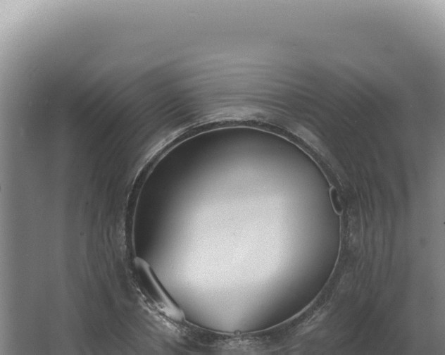 X0000068310834200604281733