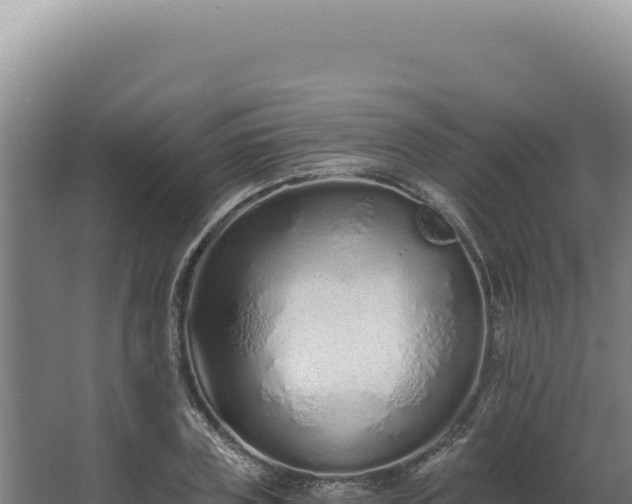 X0000068310835200604281733