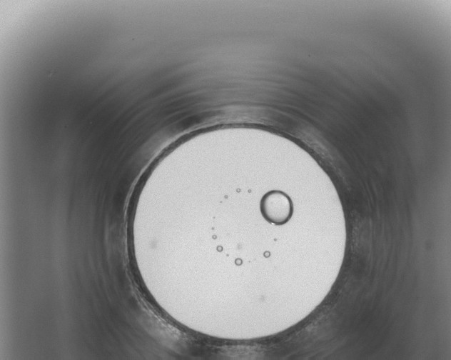 X0000068310836200604281733