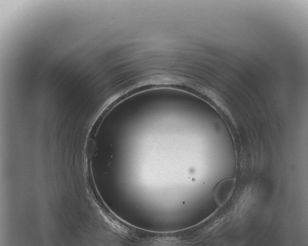 X0000068310837200604281733