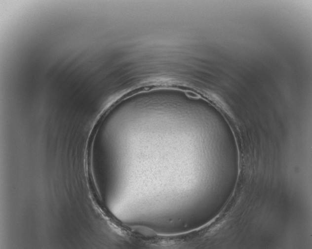 X0000068310839200604281733