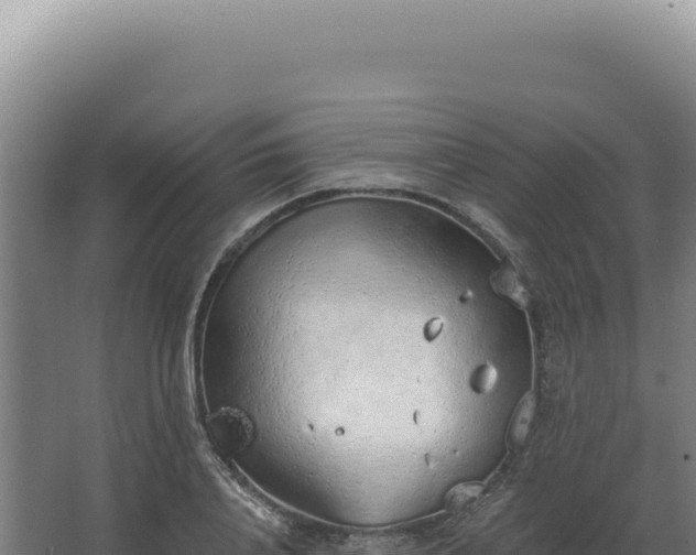 X0000068310840200604281733