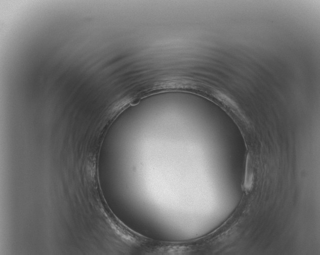 X0000068310841200604281733