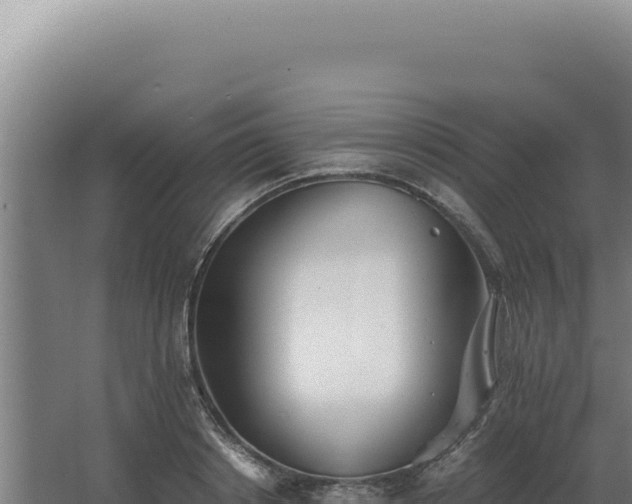 X0000068310842200604281733