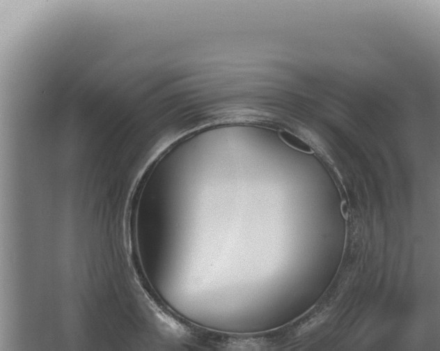 X0000068310843200604281733