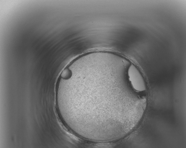 X0000068310844200604281733