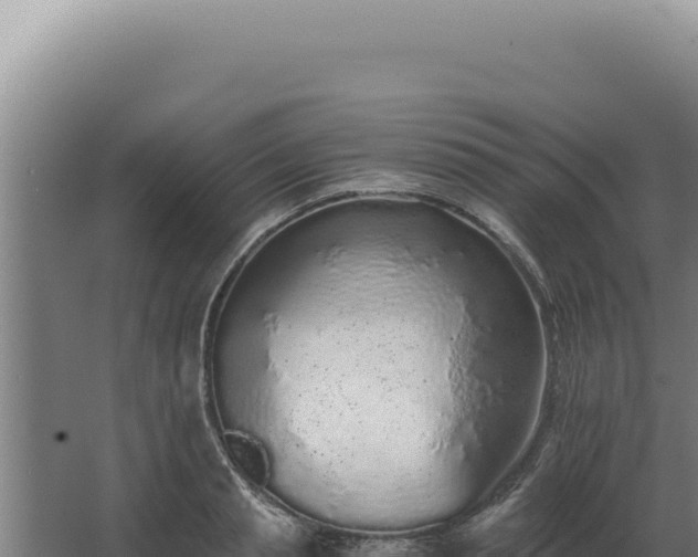 X0000068310845200604281733