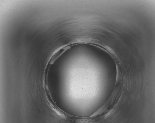 X0000068310846200604281733