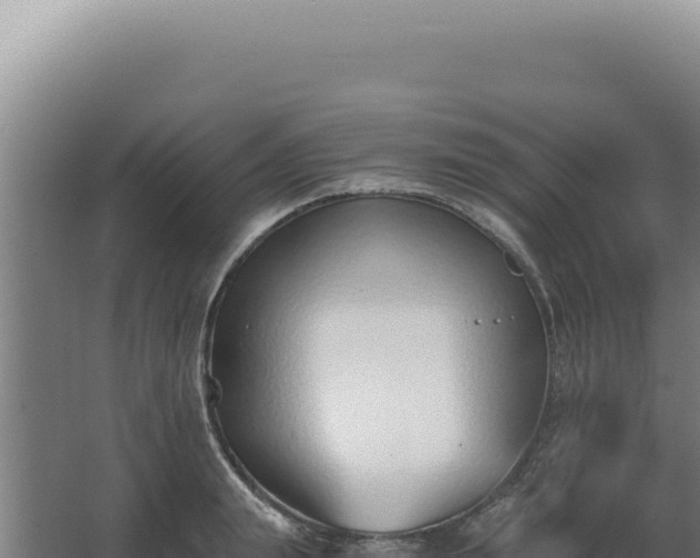 X0000068310847200604281733