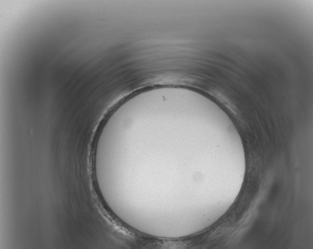 X0000068310848200604281733