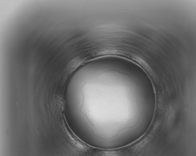 X0000068310849200604281733