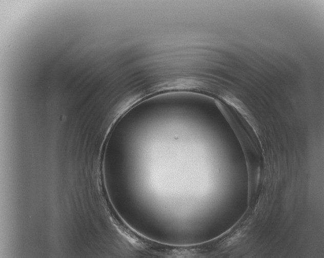 X0000068310850200604281733