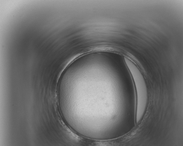 X0000068310852200604281733