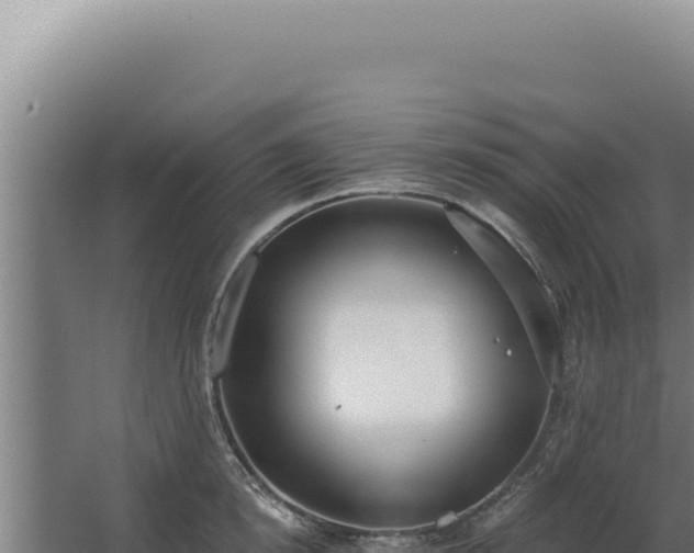 X0000068310854200604281733