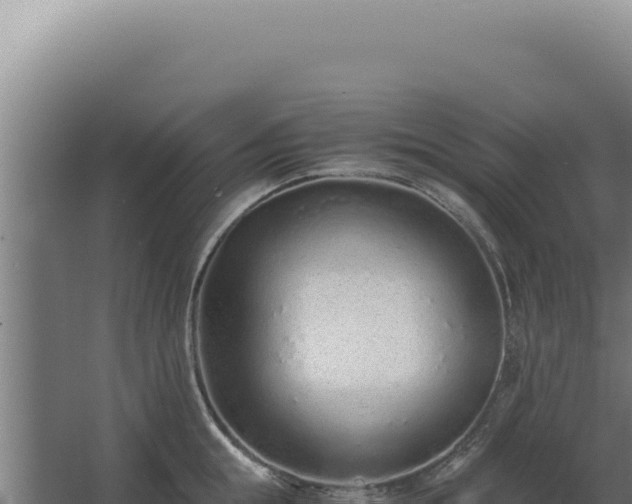 X0000068310855200604281734