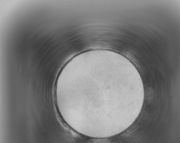 X0000068310856200604281734