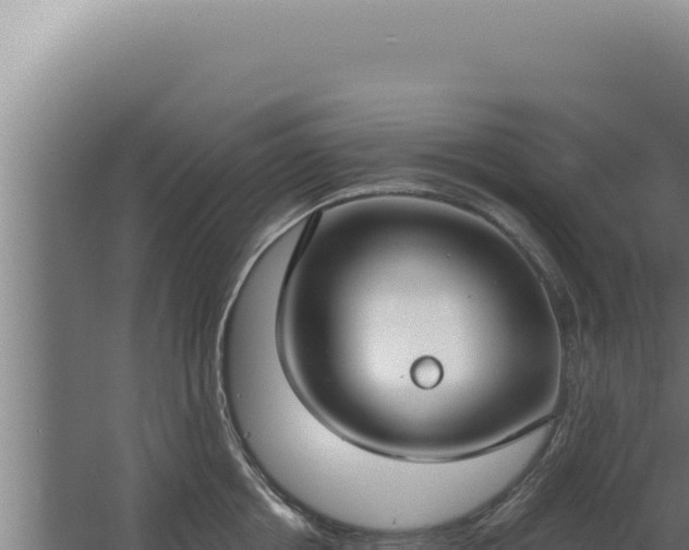 X0000068310858200604281734