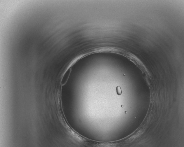 X0000068310860200604281734