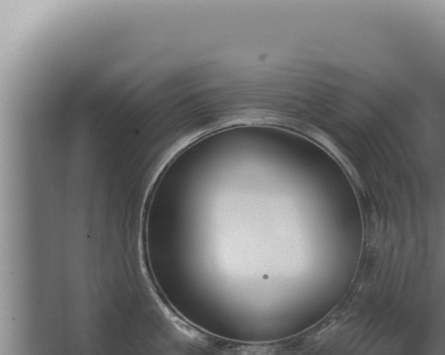 X0000068310861200604281734