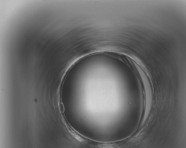 X0000068310862200604281734