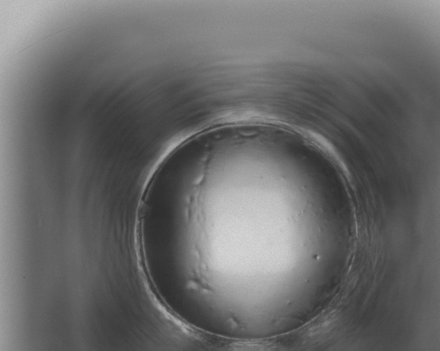 X0000068310863200604281734