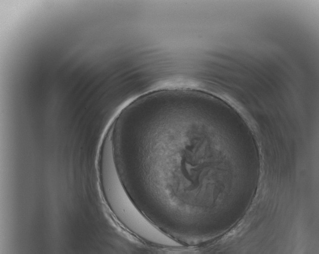 X0000068310864200604281734