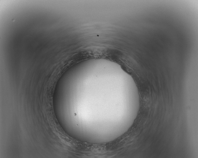 X0000068310865200604281733