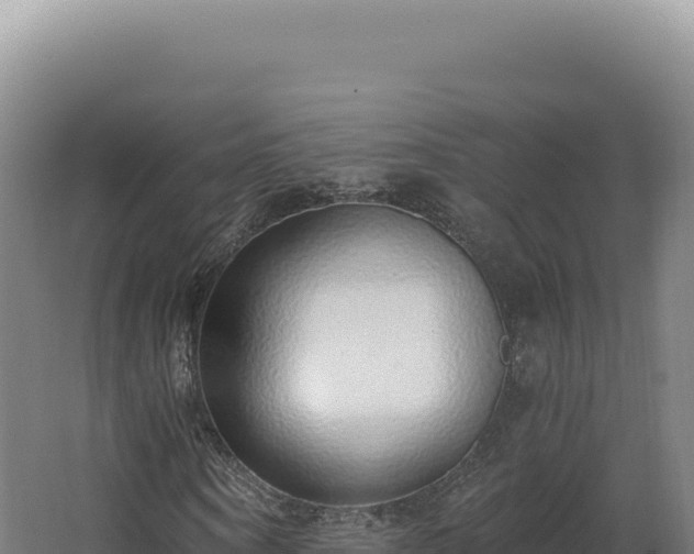 X0000068310866200604281733