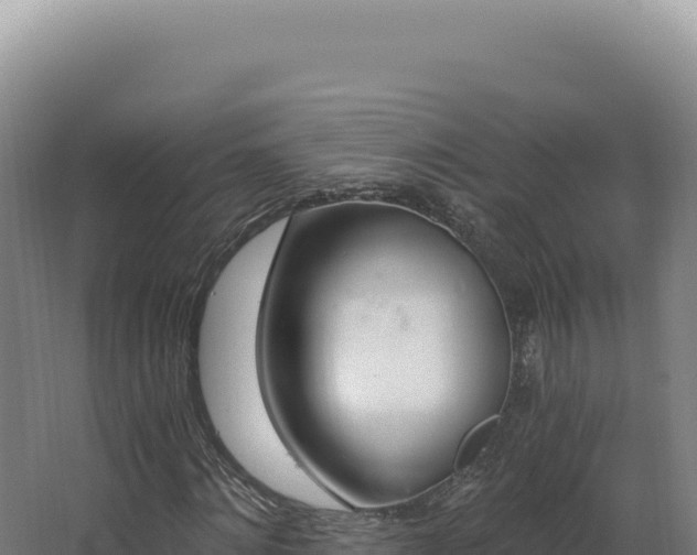 X0000068310868200604281733