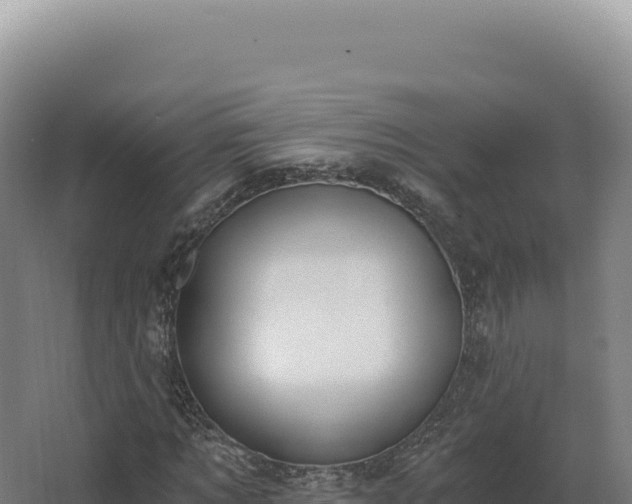 X0000068310869200604281733