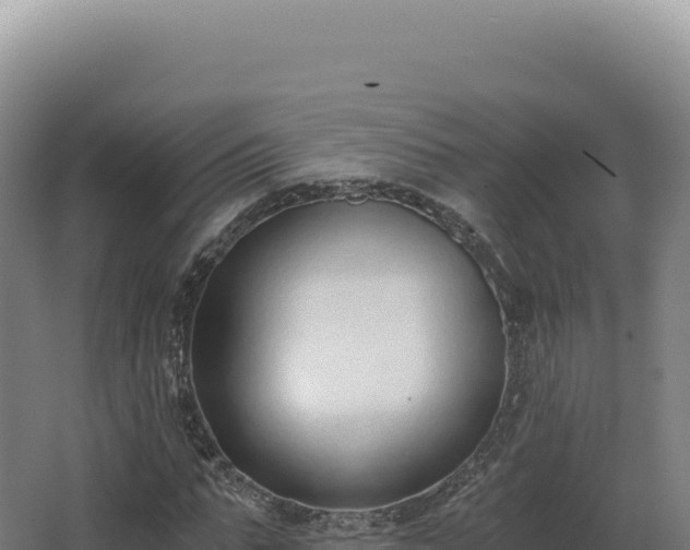 X0000068310871200604281733