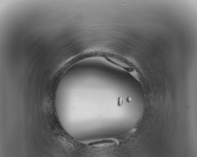 X0000068310872200604281733