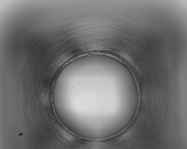 X0000068310873200604281733