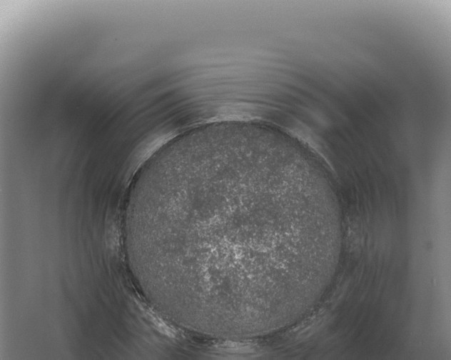 X0000068310874200604281733