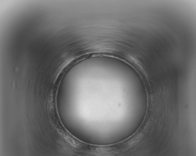 X0000068310875200604281733