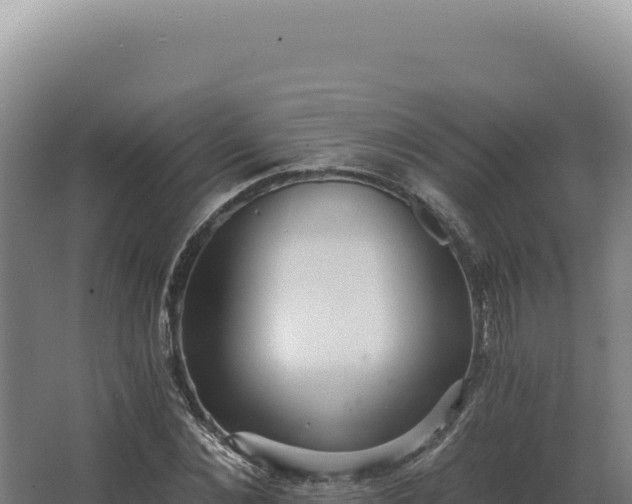 X0000068310876200604281733