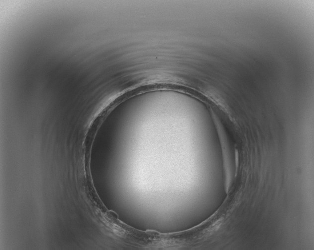 X0000068310877200604281733