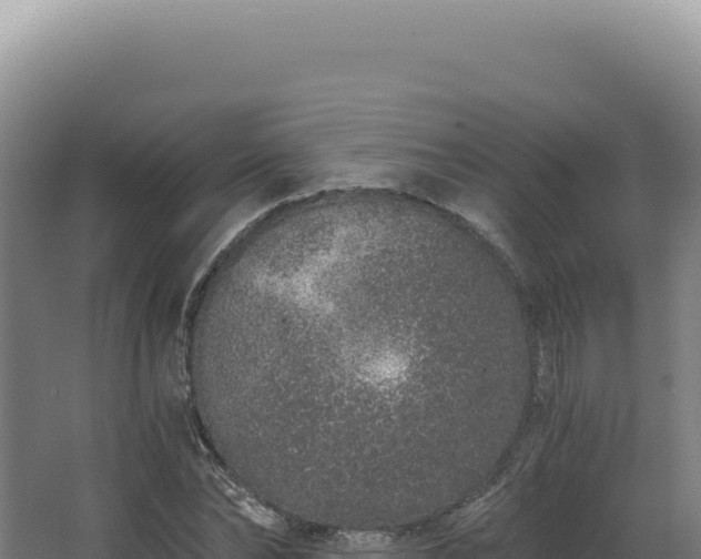 X0000068310878200604281733