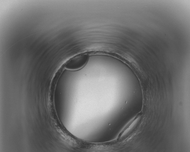 X0000068310880200604281733