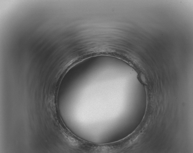 X0000068310881200604281733