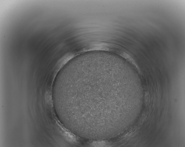 X0000068310882200604281733