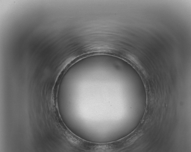 X0000068310883200604281733