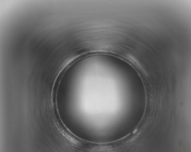 X0000068310884200604281733