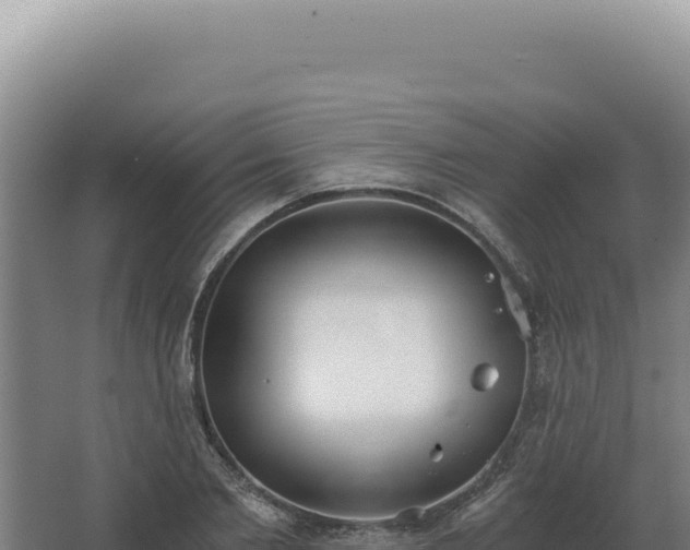 X0000068310885200604281733