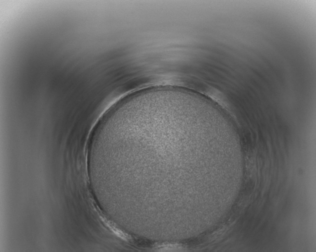 X0000068310886200604281733