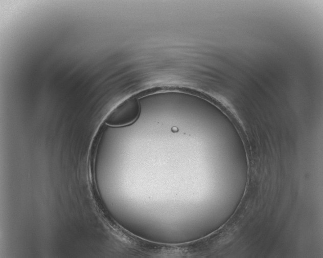 X0000068310887200604281732