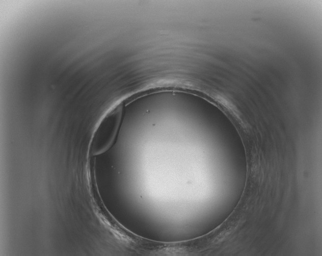 X0000068310888200604281732