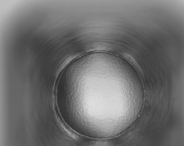 X0000068310890200604281732